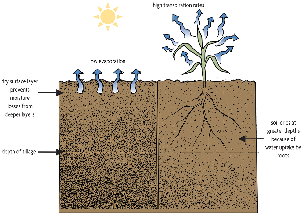 Ch 15. Addressing Compaction SARE