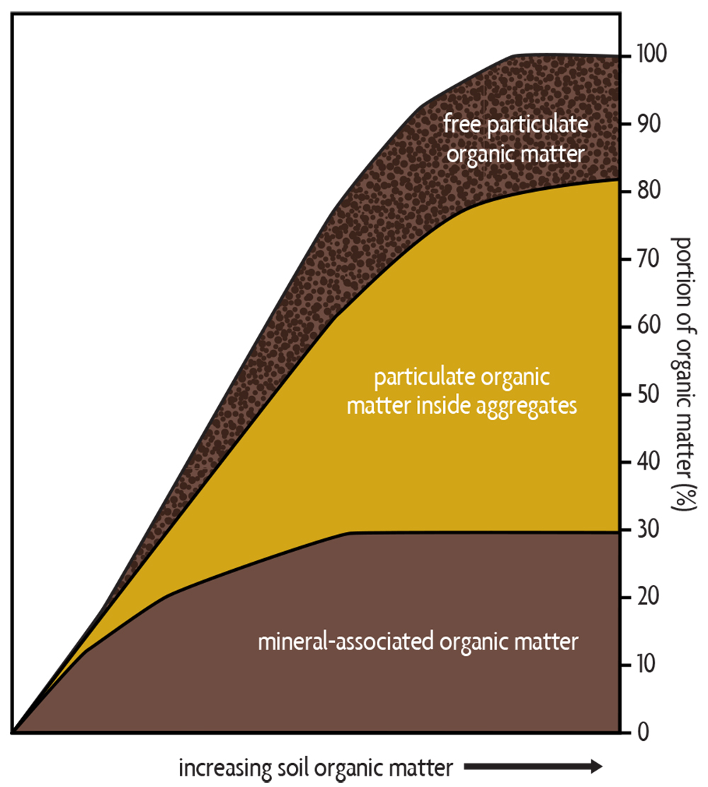 Ch 3. Amount of Organic Matter in Soils SARE