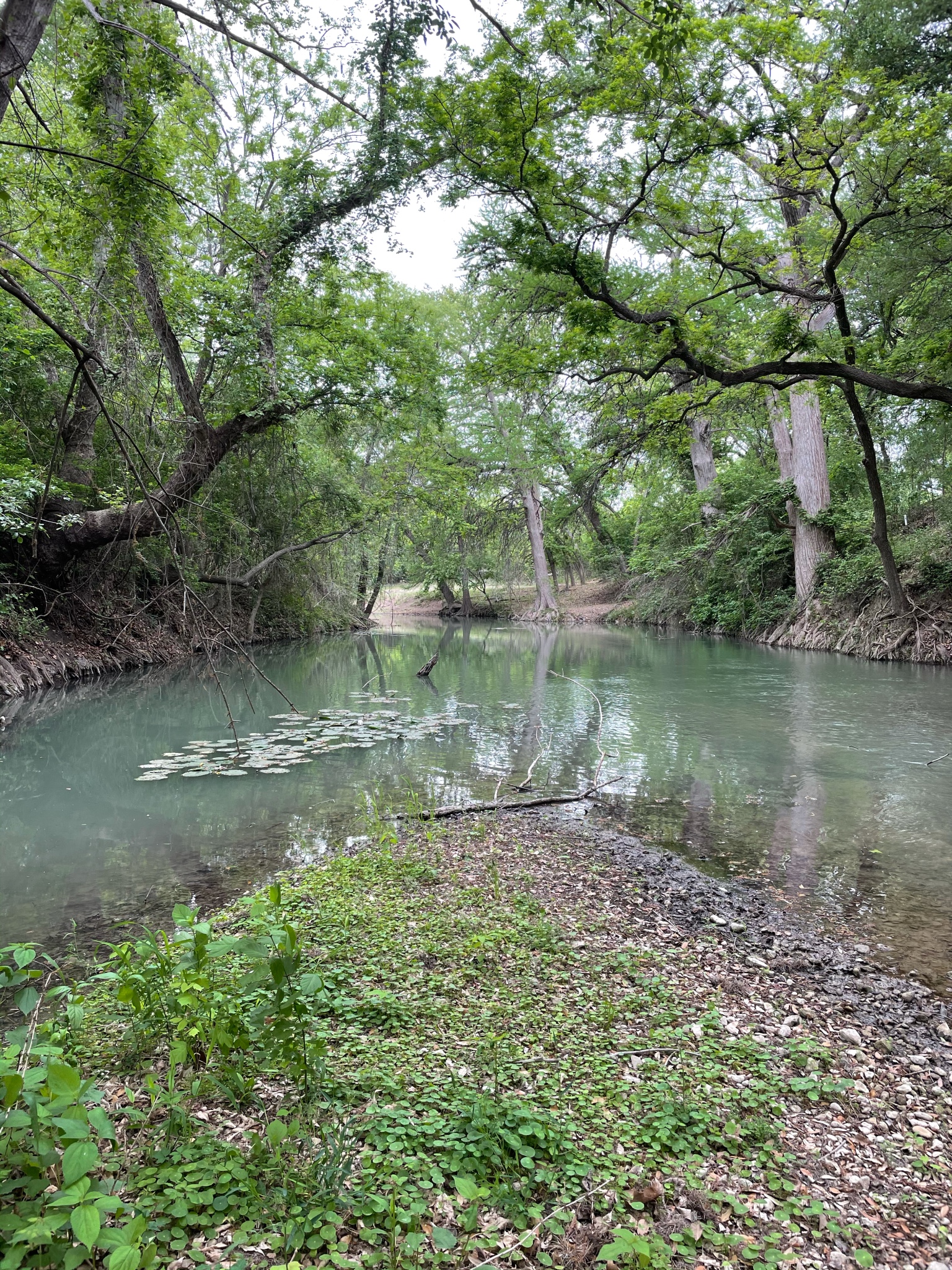 River Authority Spotlight Real Estate Team San Antonio River Authority