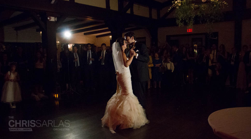Chicago Wedding Band Performed for Bethany & Angelo’s Wedding at Skokie