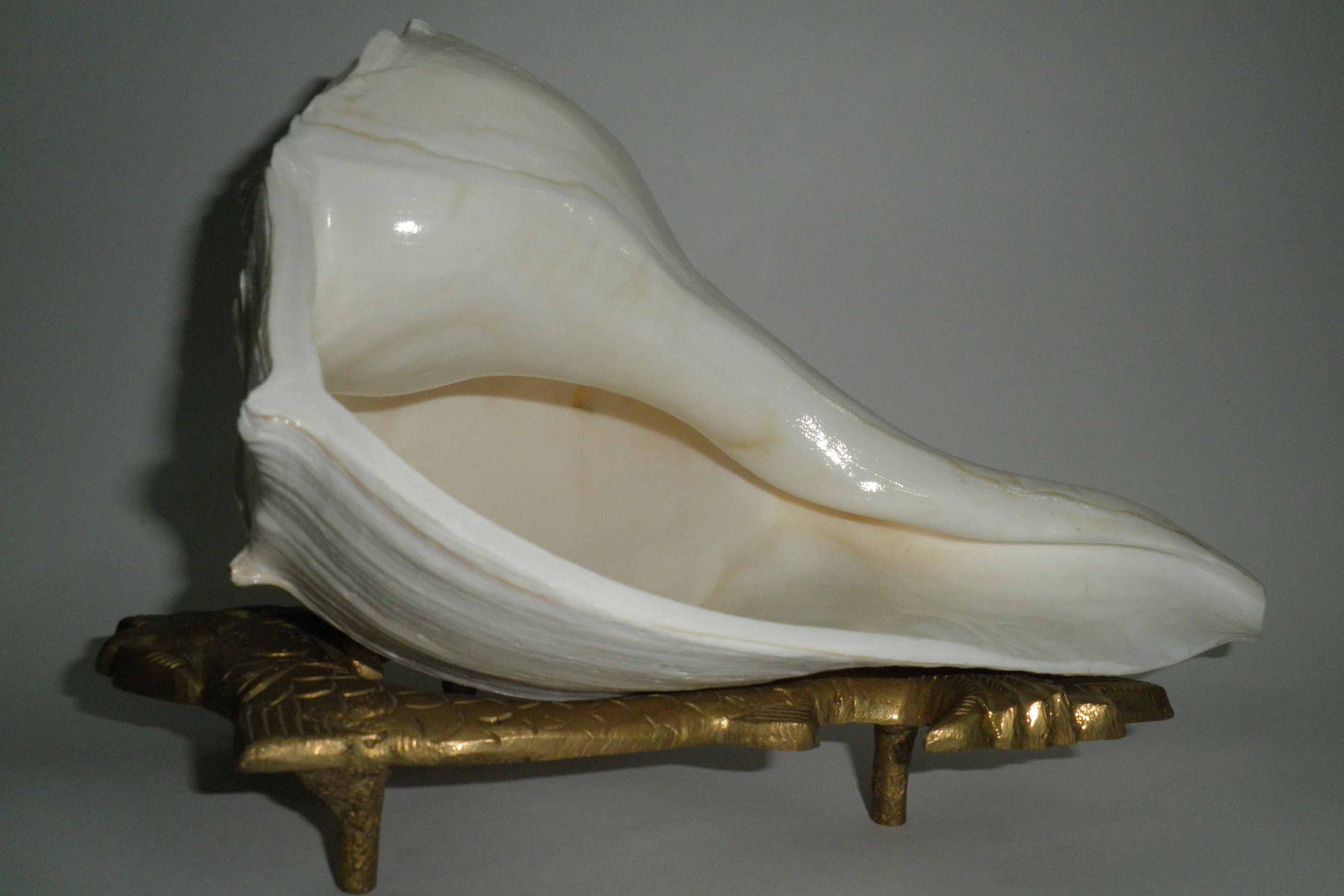 Benefits Ganesh Sankh Price Ganesh Shankh Original Ganesh Shankh