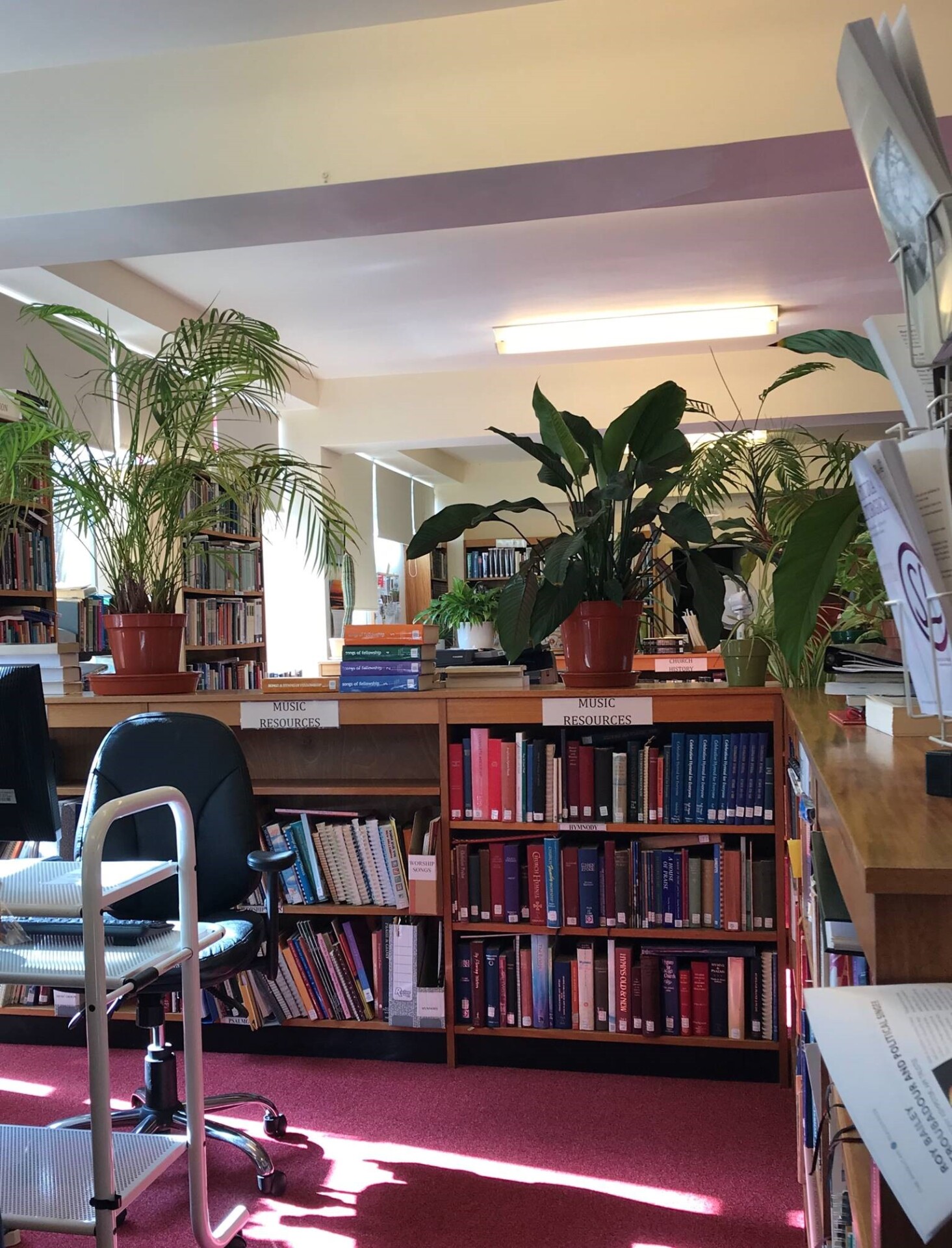 Library Book Cleaning Project Blog Sarum College