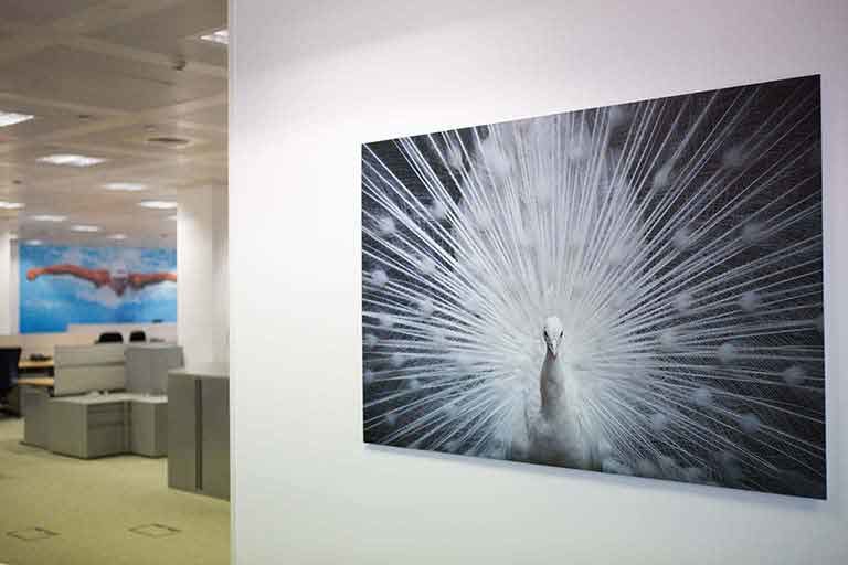 Dibond Printing London Large Format Display Print Services