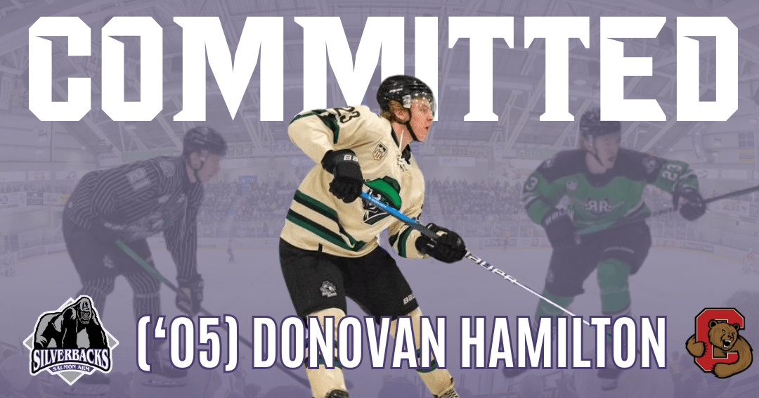 Silverbacks add size to the back end Salmon Arm Silverbacks