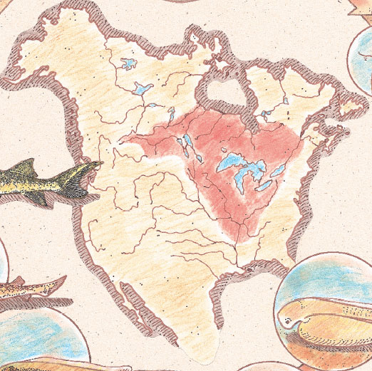 Distribution of Lake Sturgeon Maps Sask. River Sturgeon