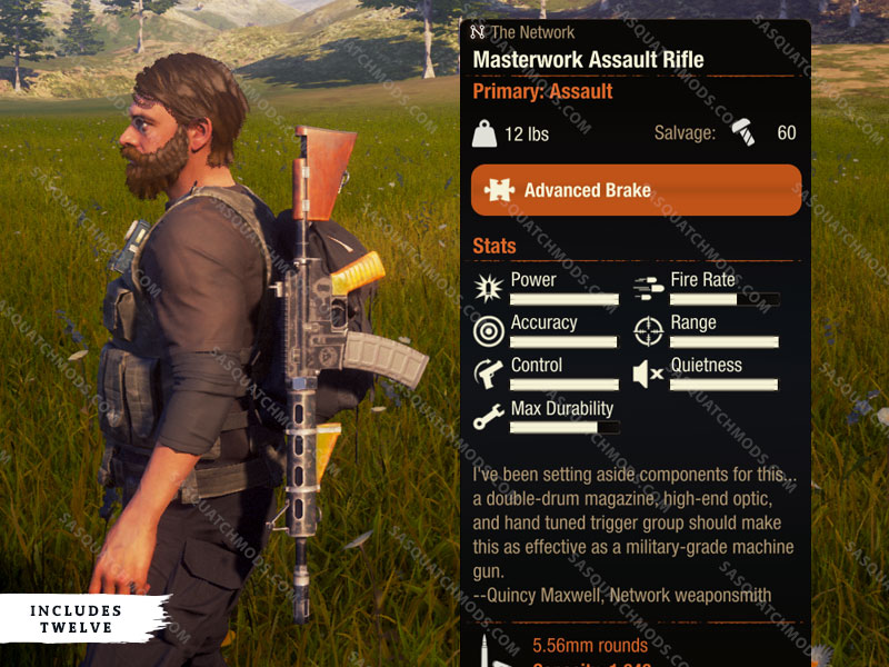 Masterwork Assault Rifle (x12) State of Decay 2 Sasquatch Mods
