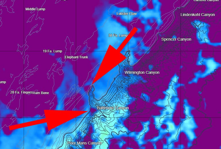 Finding Pelagic Fish with Offshore Structure and Satellite Charts