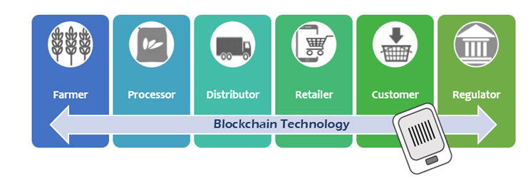 Blockchain Platform will Revolutionize Agrifood Supply Chains