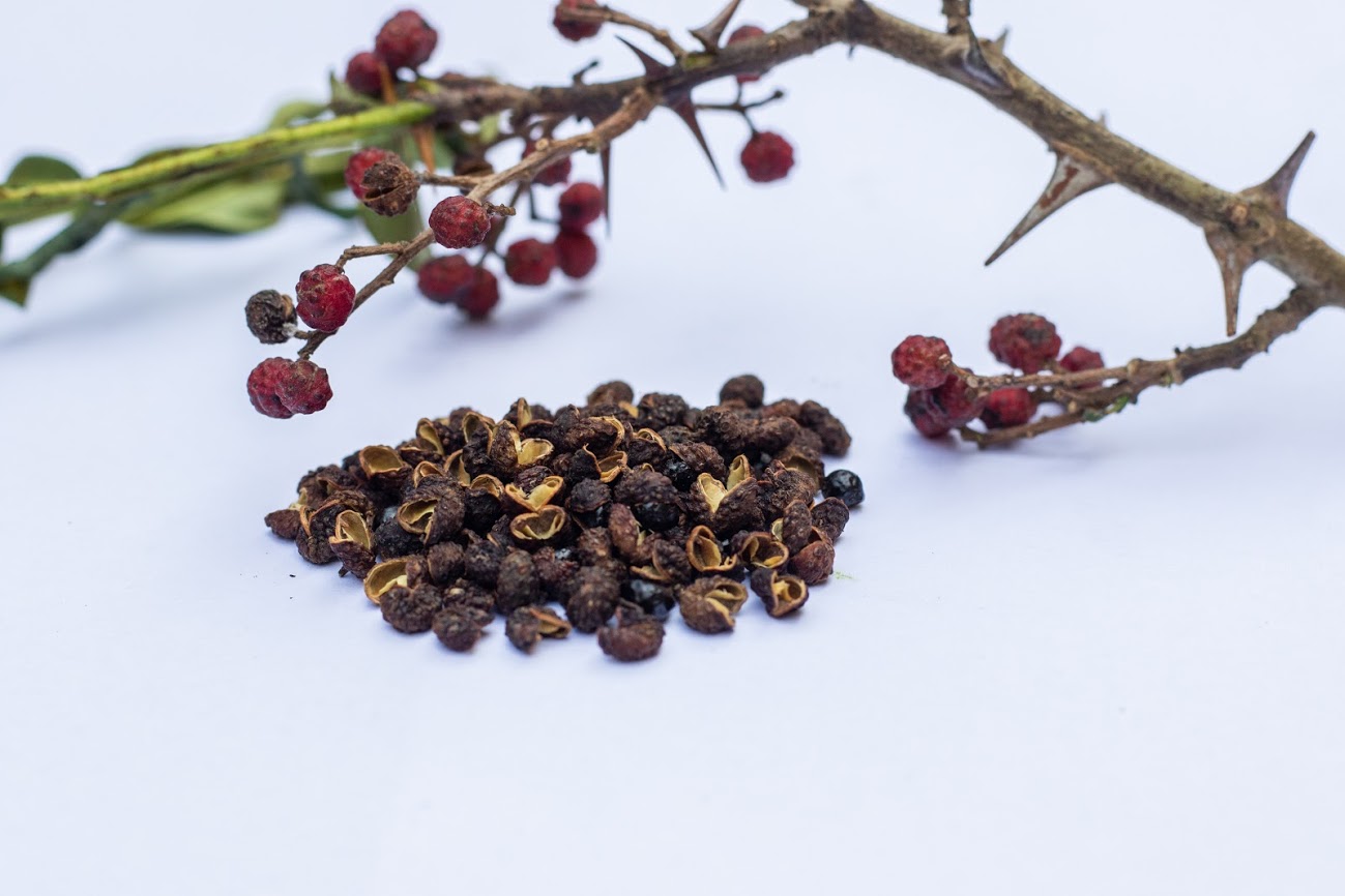 Timur (Timut Pepper) Sattva Nepal