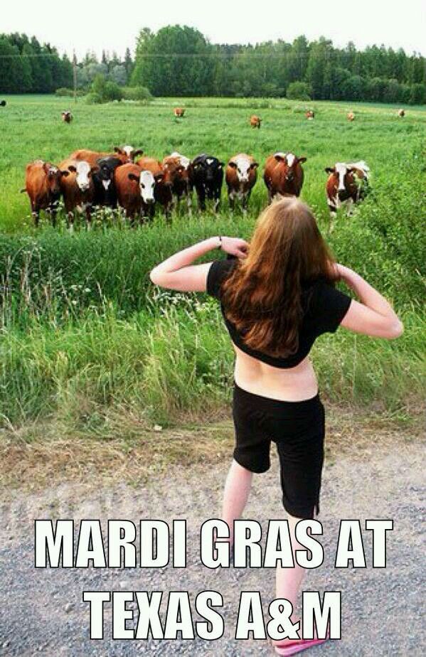 The best Texas A&M memes heading into the 2015 season