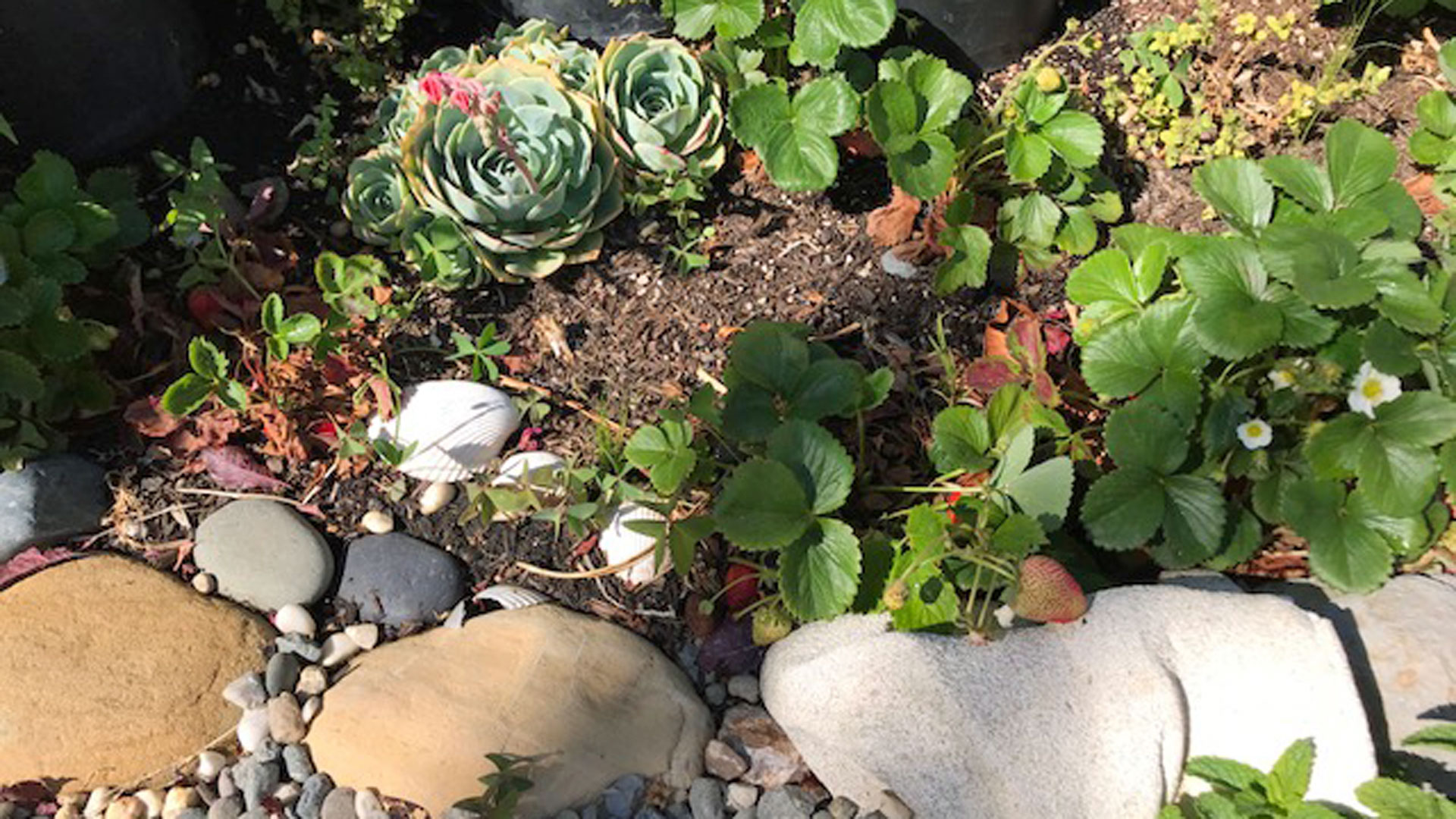 Valhalla Sign Works Sausalito Beautiful