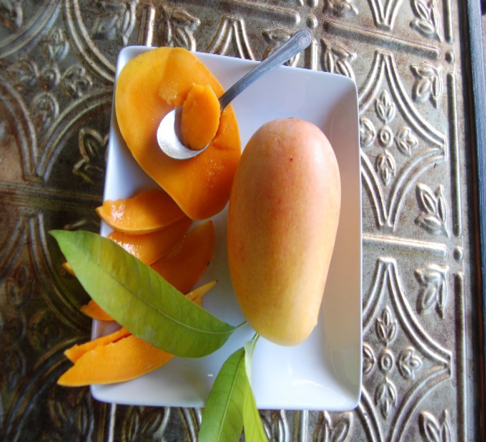 Kesar Mango Export