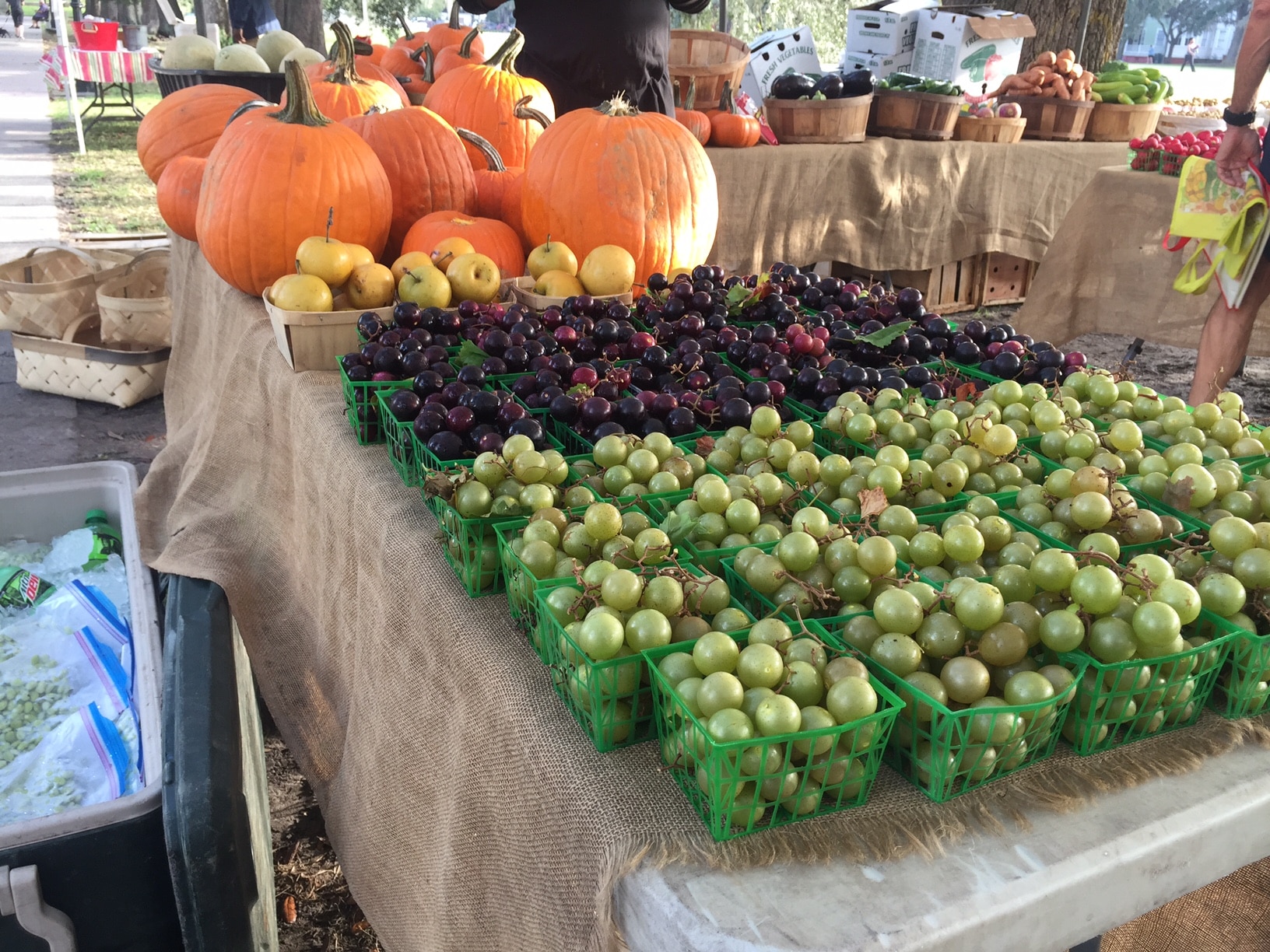 Fall Favorites at the Forsyth Farmers' Market