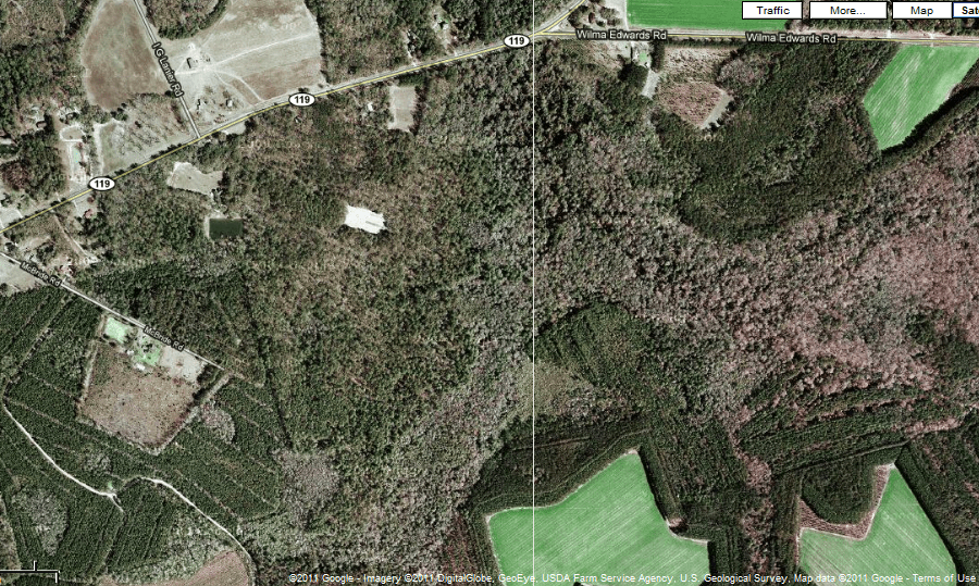 Savannah Ga, Real Estate Land for Sale in Savannah