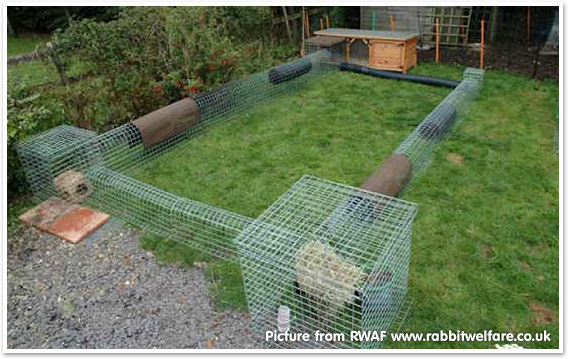 What size hutch and run should I get? What do rabbits live in?