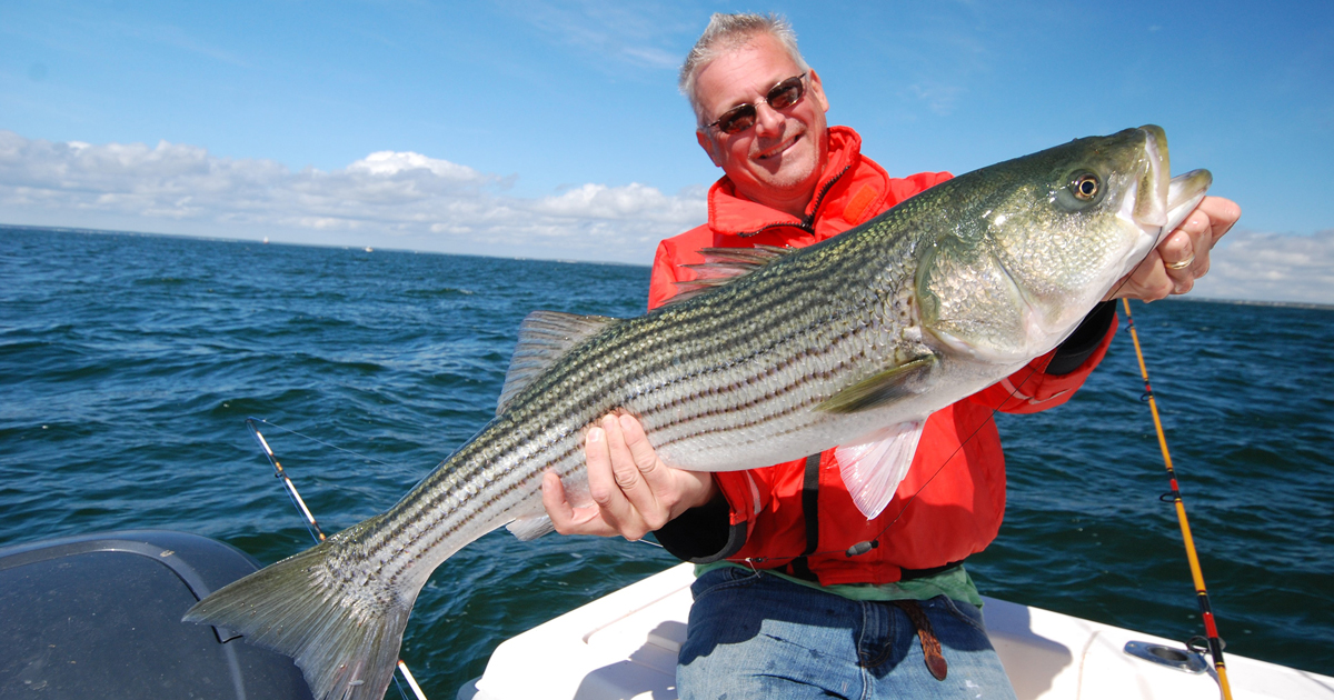 12 awesome spots for spring striper fishing Buzzards Bay