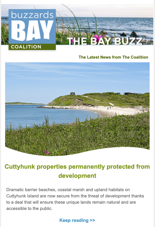 The Bay Buzz Buzzards Bay Coalition