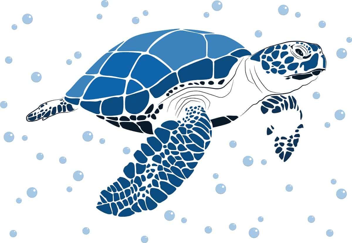 50+ Top Turtle Tattoo Designs (The Symbolism Behind Turtle Body Art) - Saved Tattoo 831_x_1200_jpg