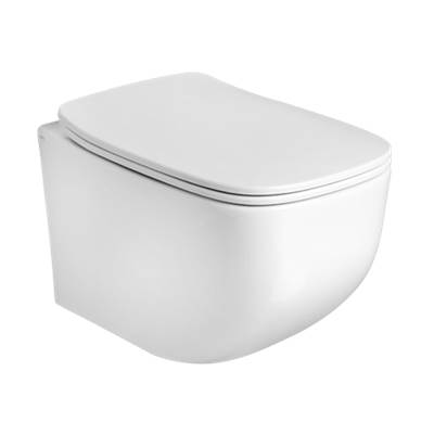Axa Ceramica Toilets SurreyVancouverBritishColumbiaCanada