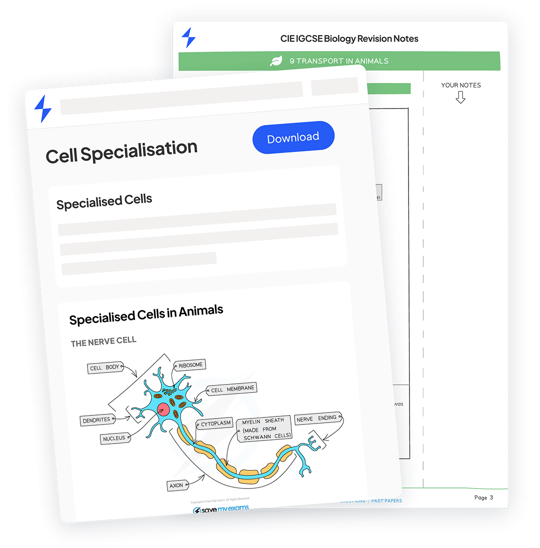 Revision Notes from Save My Exams Boost Your Grades
