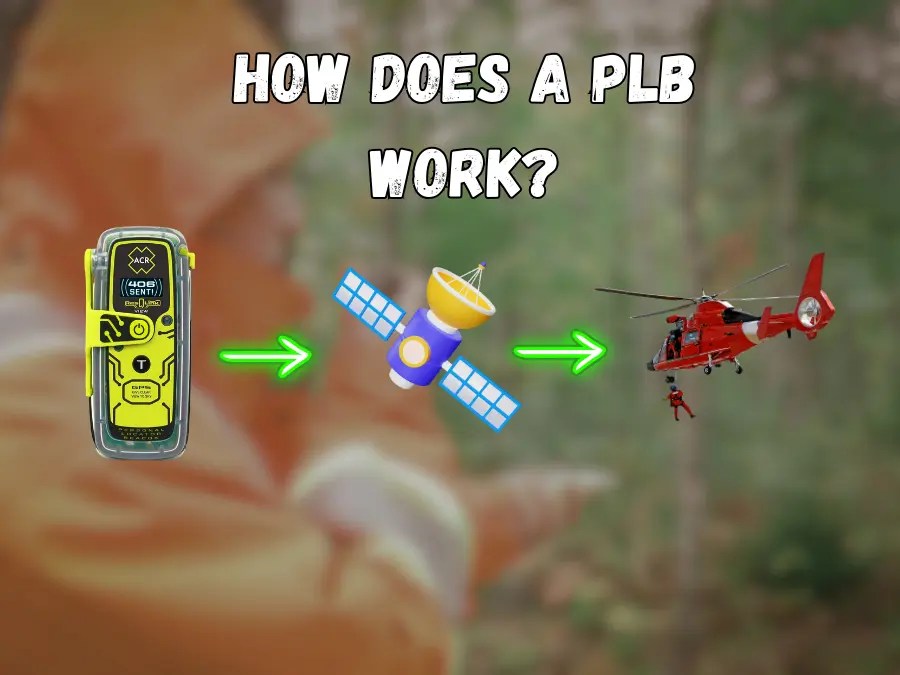 What is a PLB: How Does it Work & How Much it Costs?