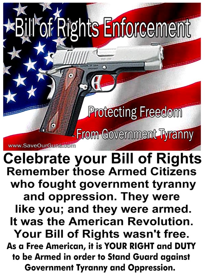 Gun Rights Posters Individual Right to Keep and Bear Arms