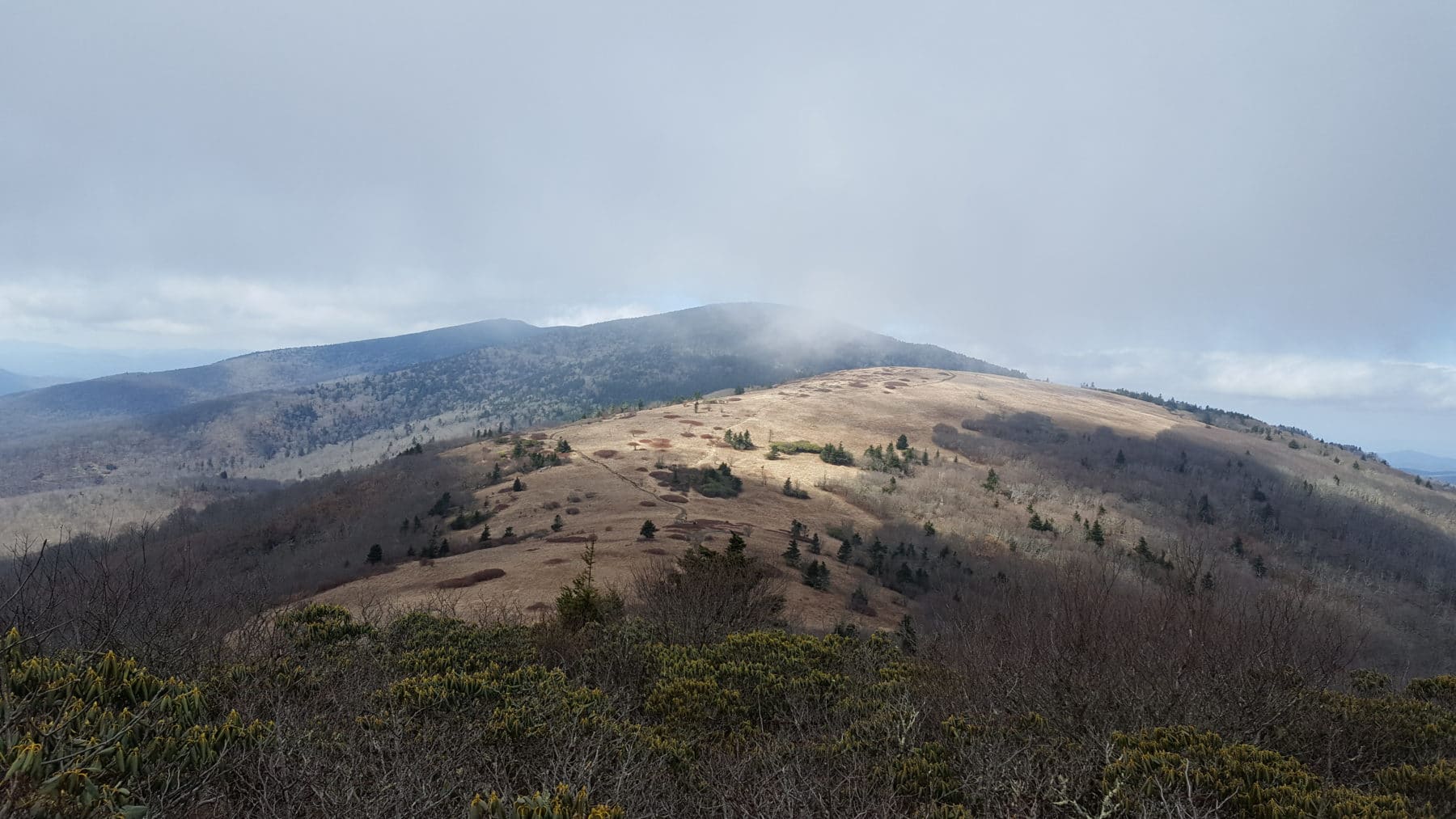 Roan Mountain. Best day hike ever? Possibly. Save Quit Fish