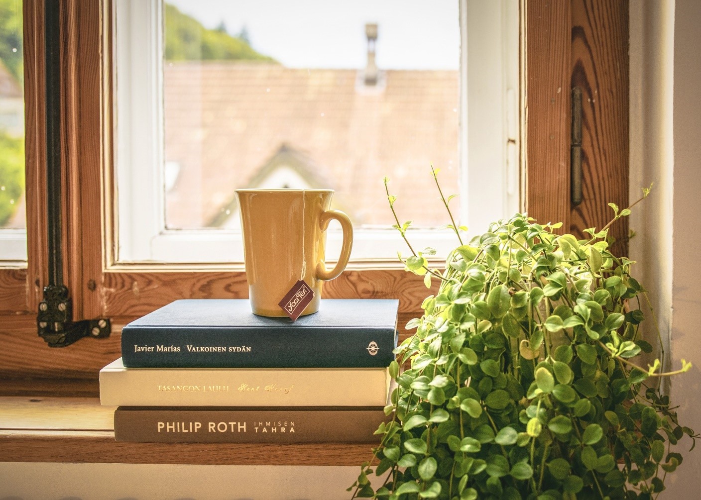 How to Make Your Existing Home Windows More Energy Efficient Save The