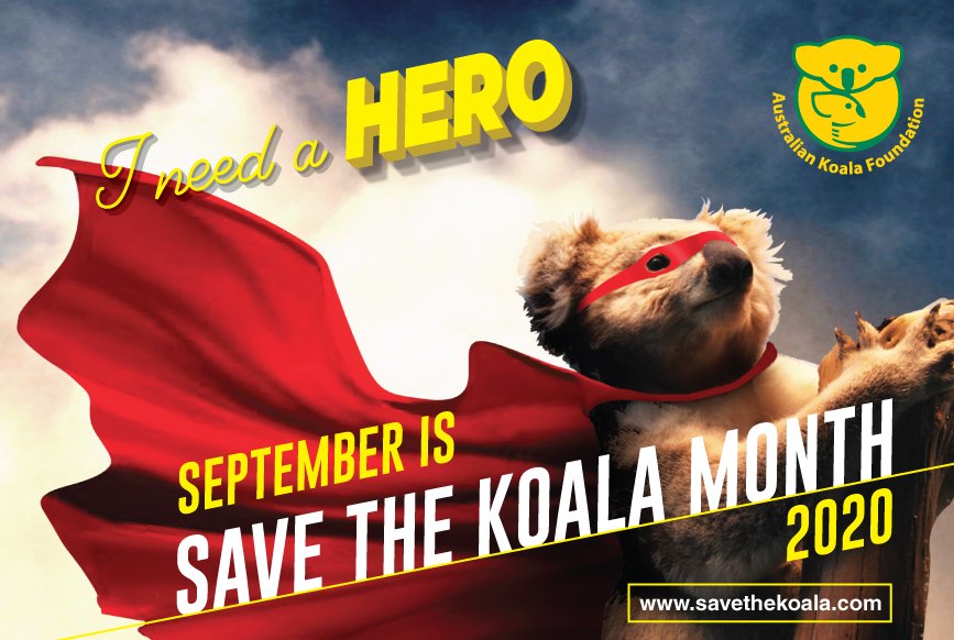 Save the Koala Month Australian Koala Foundation