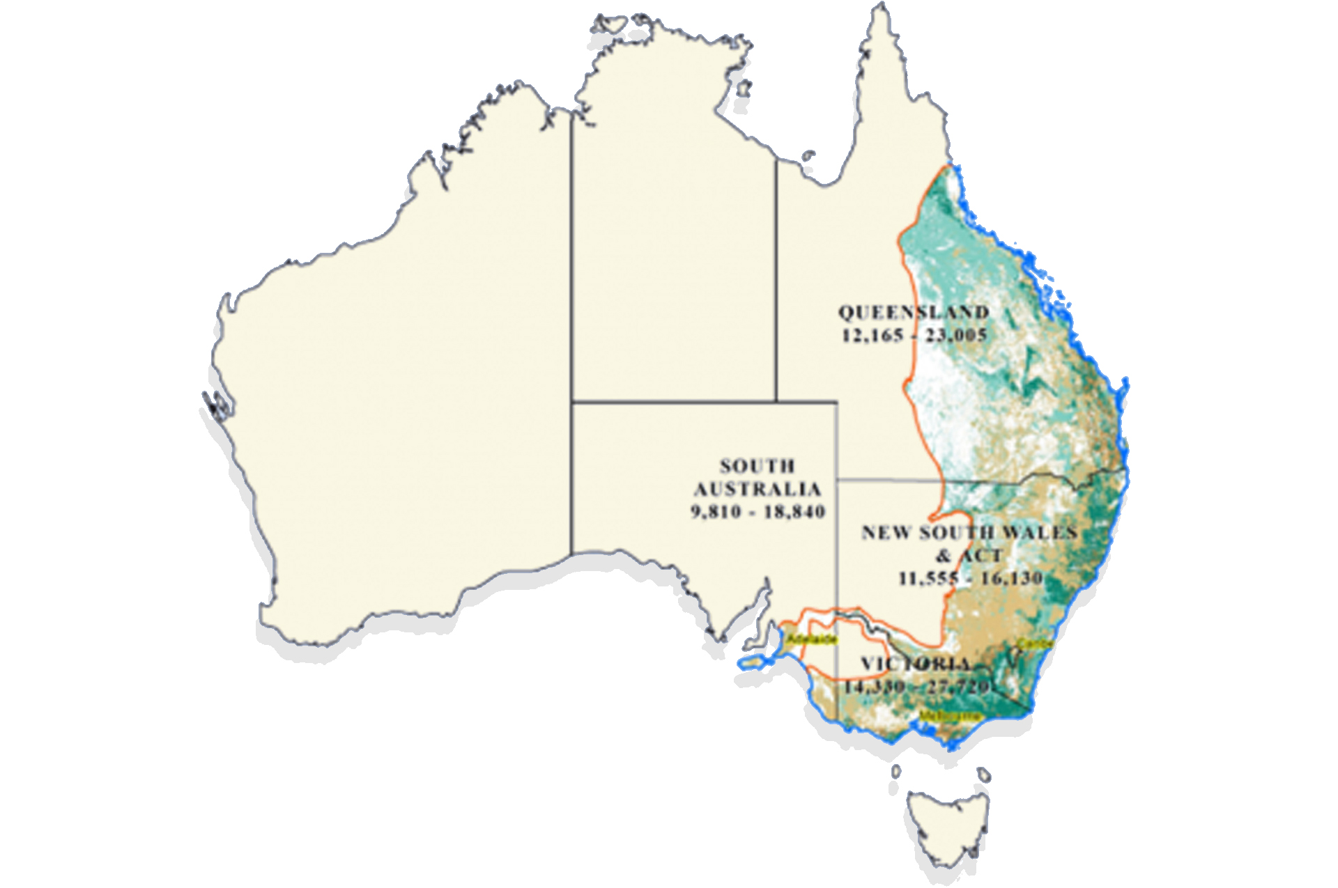 Home Australian Koala Foundation