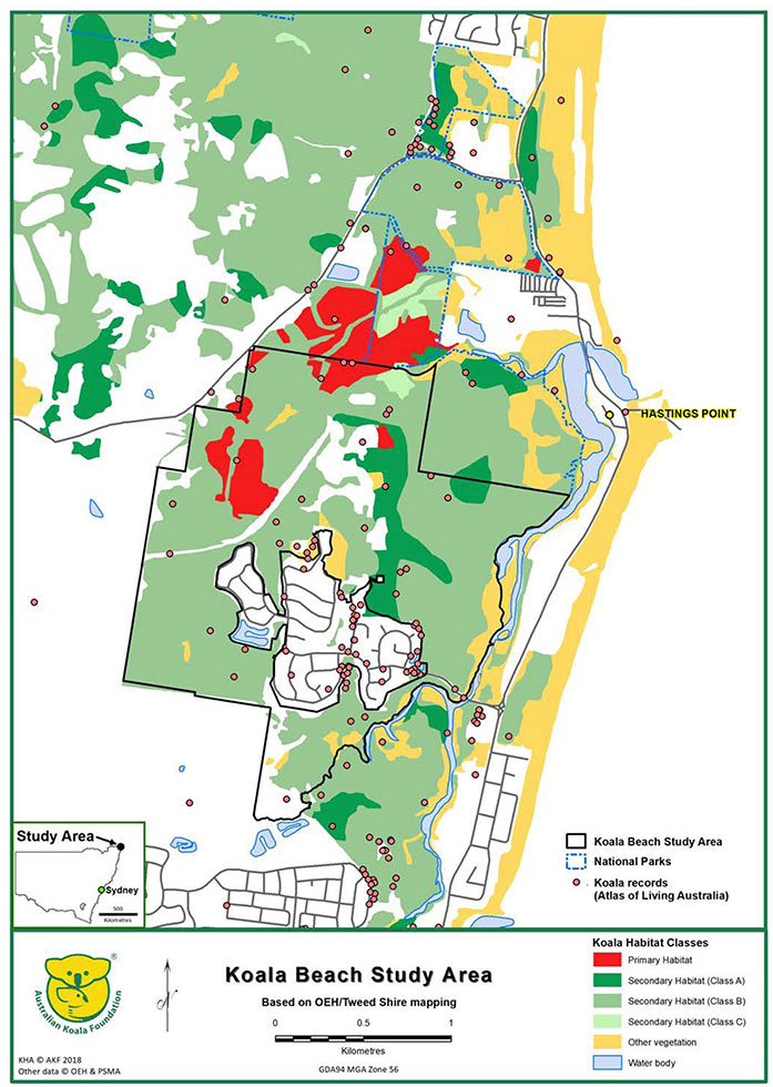 Koala Beach Housing Development Australian Koala Foundation