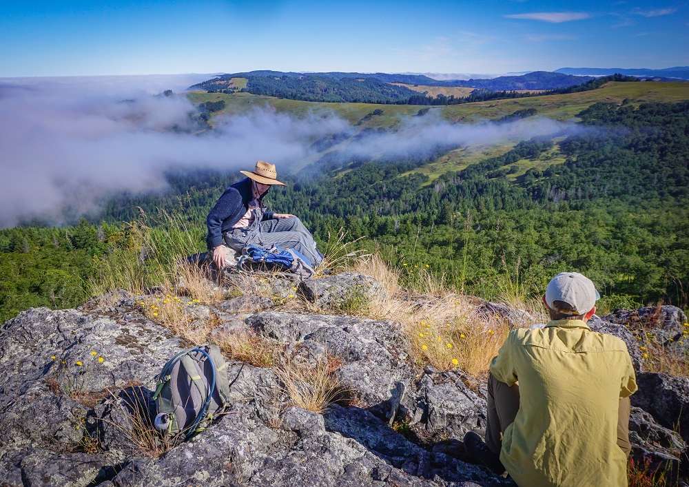 Redwoods Rising Apprentices Help Restore Redwood National and State