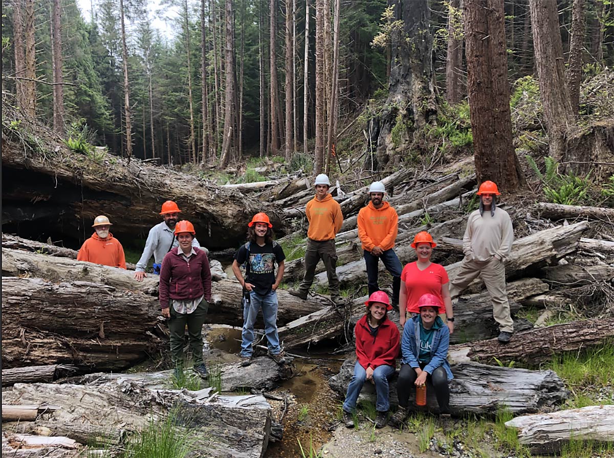 Redwoods Rising Apprenticeship Program Save the Redwoods League