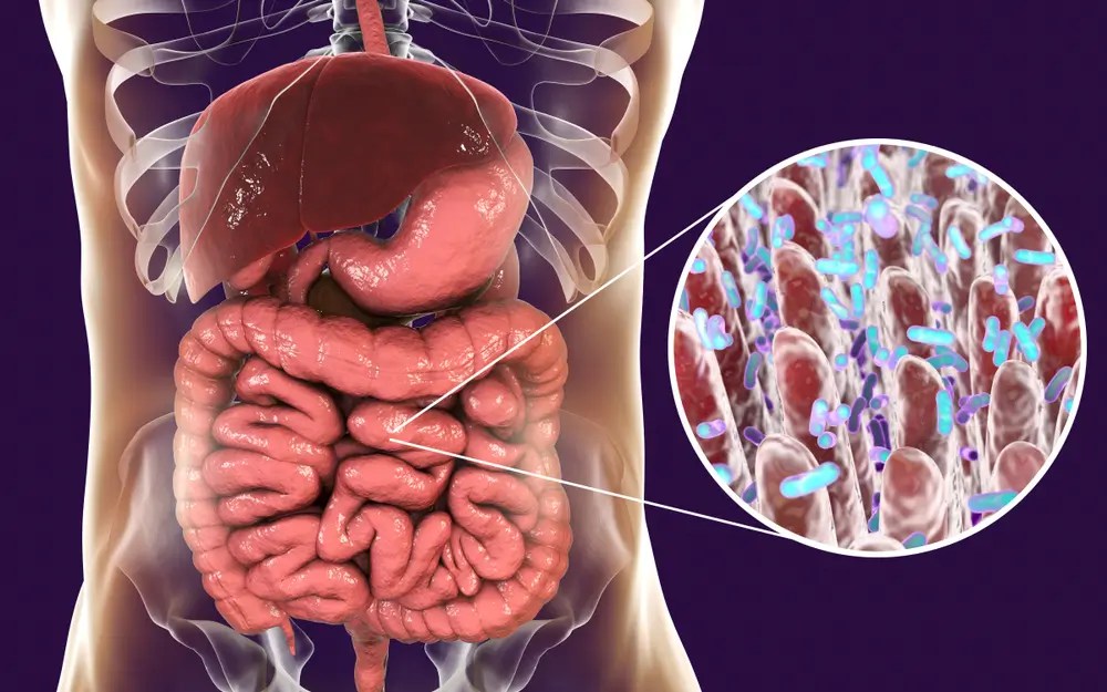 Troubles digestifs ? Votre micronutritionniste à Annecy vous