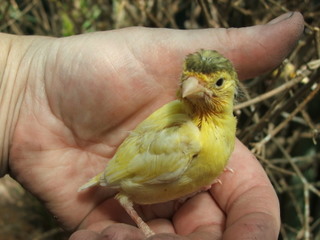 ÎÏοÏÎλεÏμα εικÏÎ½Î±Ï Î³Î¹Î± ÎÎÎÎΡÎÎÎÎ