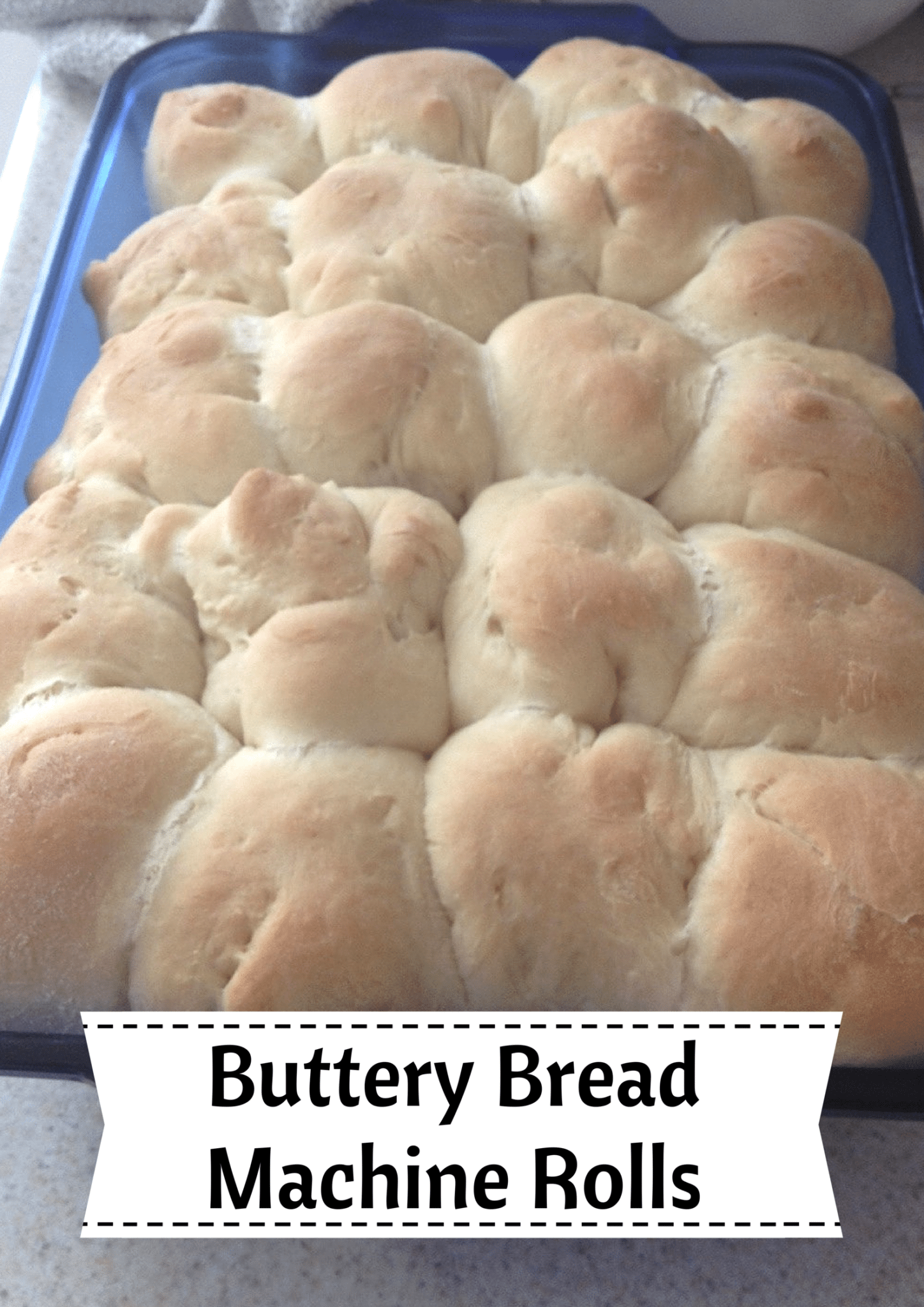 Buttery Bread Machine Rolls Saving You Dinero