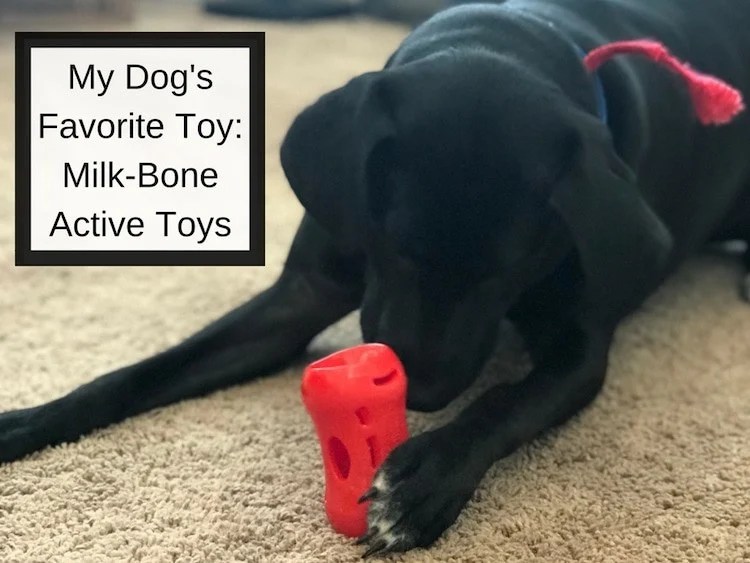 My Dog's Favorite Toy MilkBone Active Toys Saving You Dinero