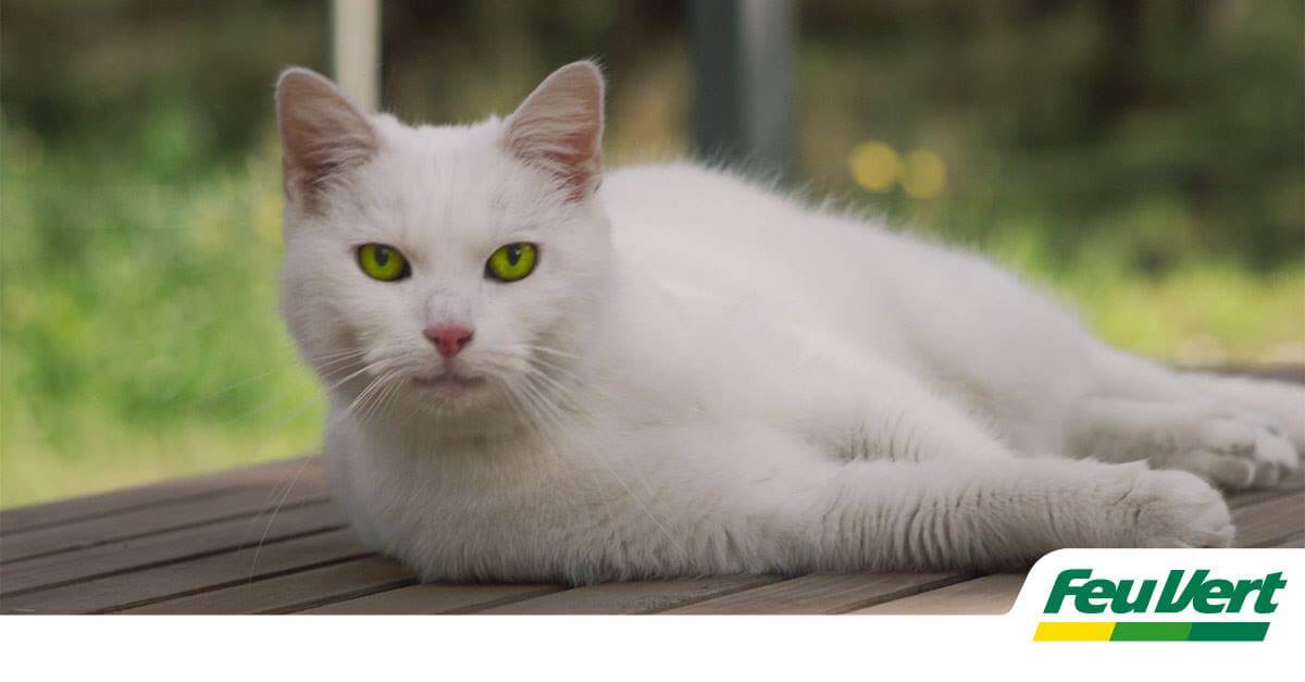 Code Promo Feu Vert ᐅ Toutes les offres Février 2019