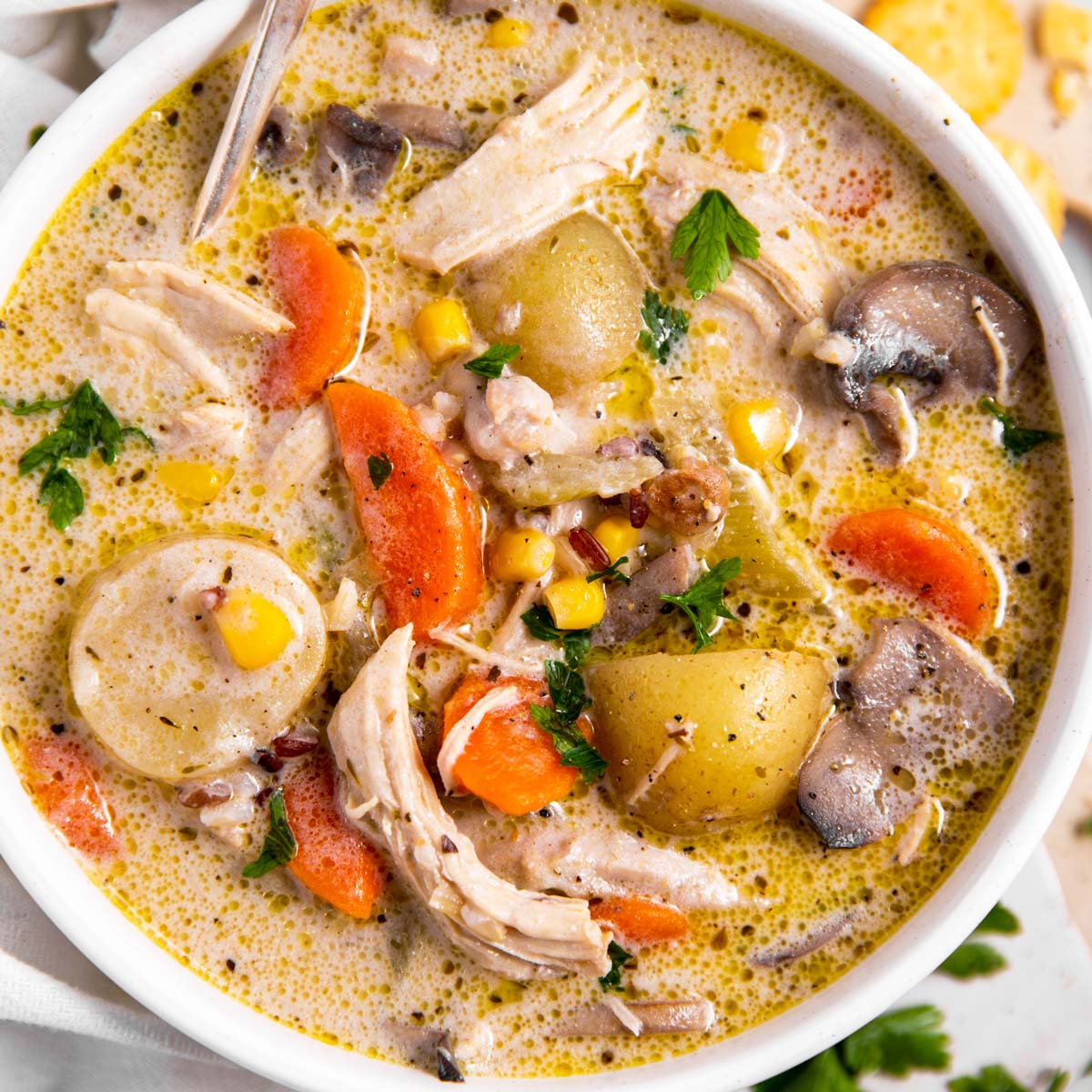Best Turkey Soup Recipe From Leftover Turkey