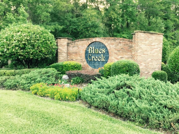 Blues Creek homes for sale in NW Gainesville