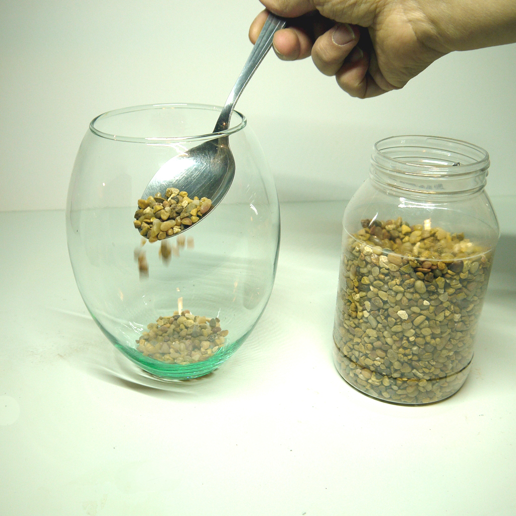 Decorative Succulent Terrariums Sayeh Sun Studio