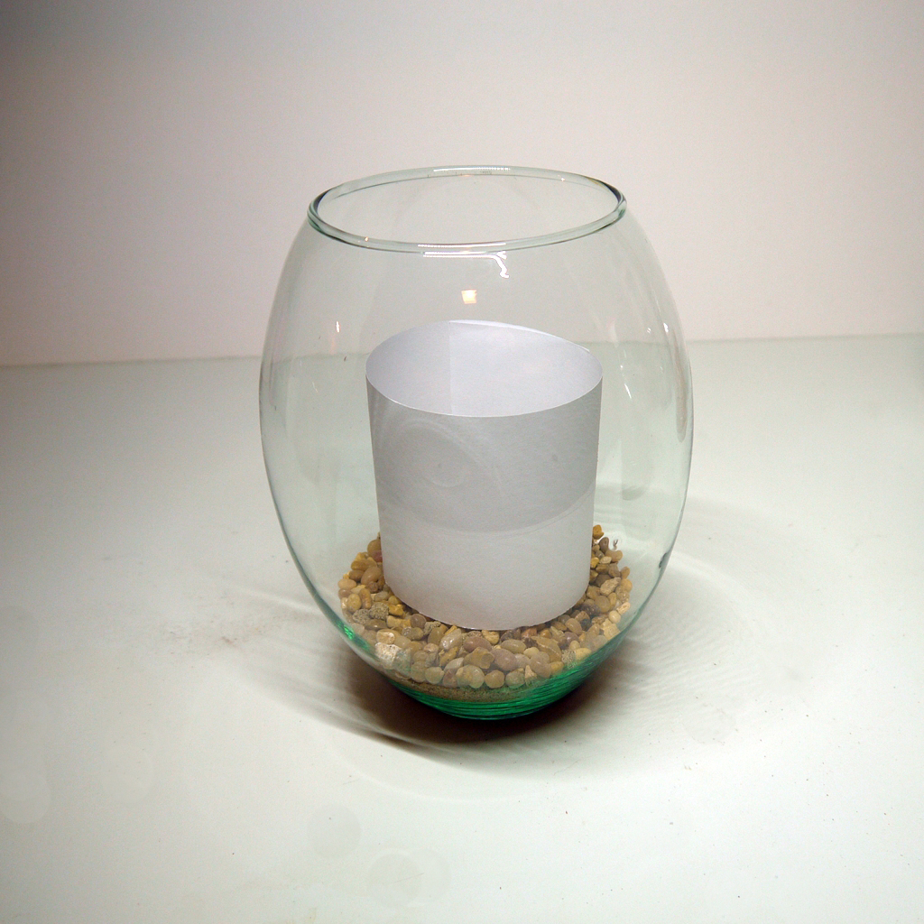 Decorative Succulent Terrariums Sayeh Sun Studio