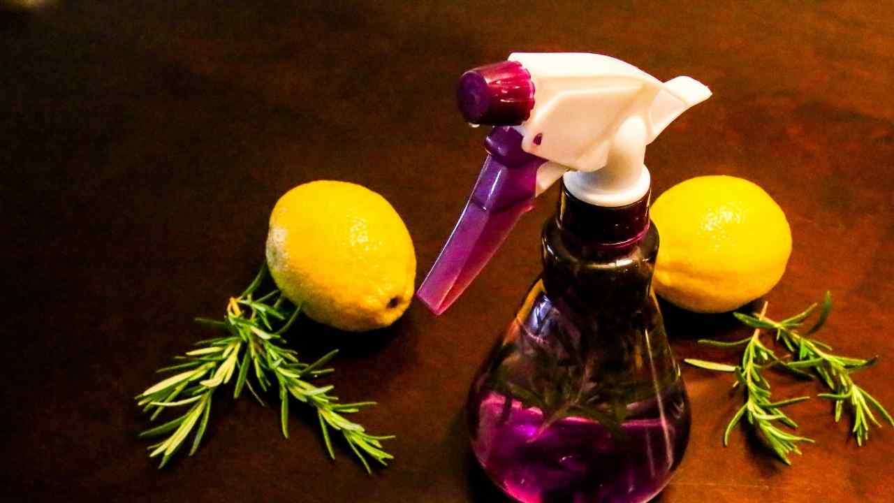 EcoFriendly Cleaner Recipe SAY Play Center