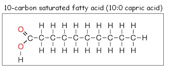 Saturated fats: What is saturated fat?