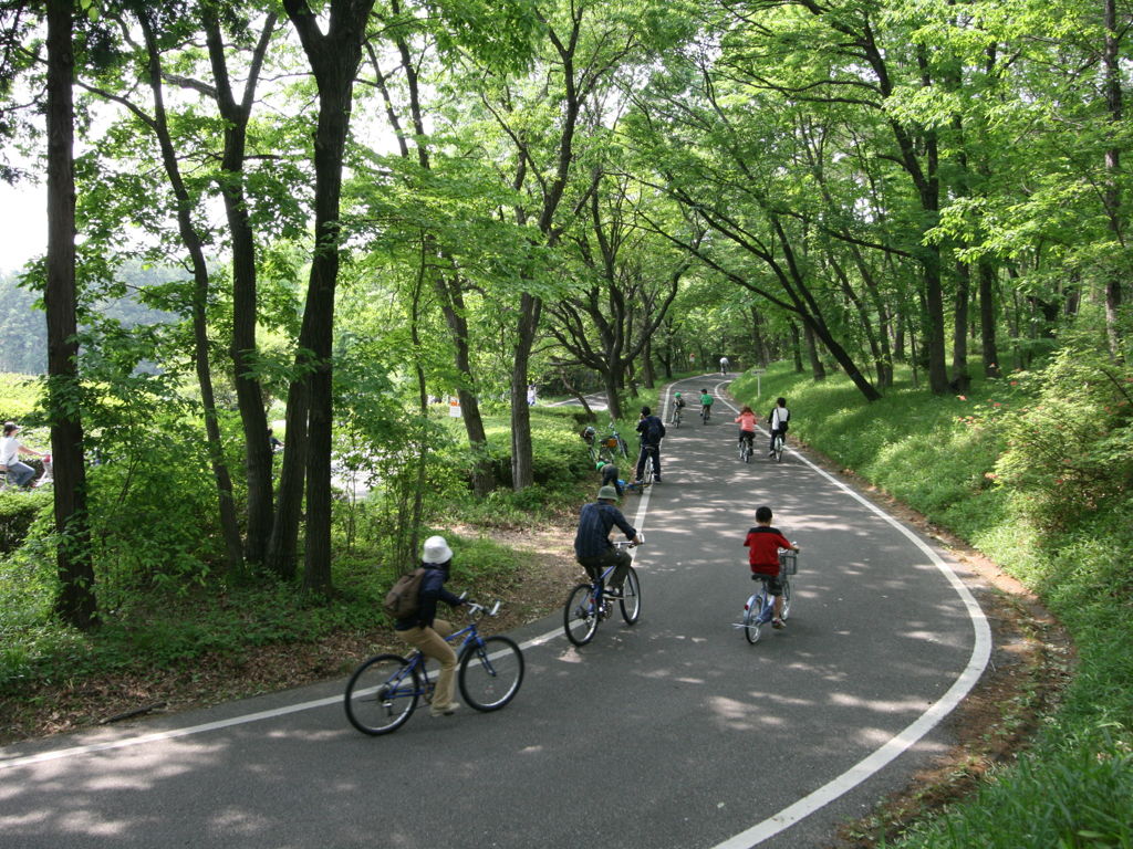 17kmの自転車専用サイクリングコース「国営武蔵丘陵森林公園」（埼玉県） ｜ ENJOY SPORTS BICYCLE
