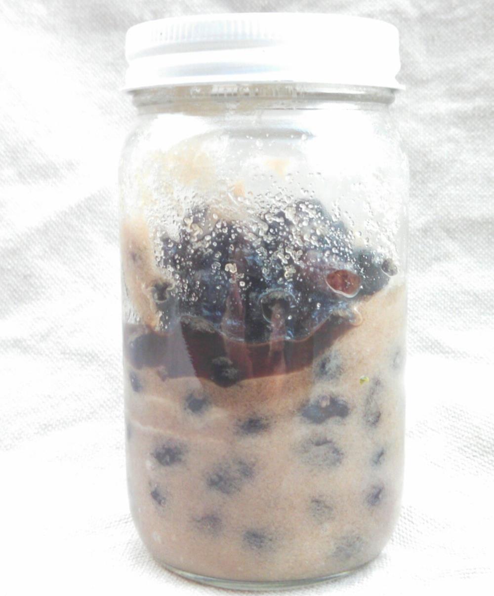 Curing Olives Process 1 Dry Curing Olives