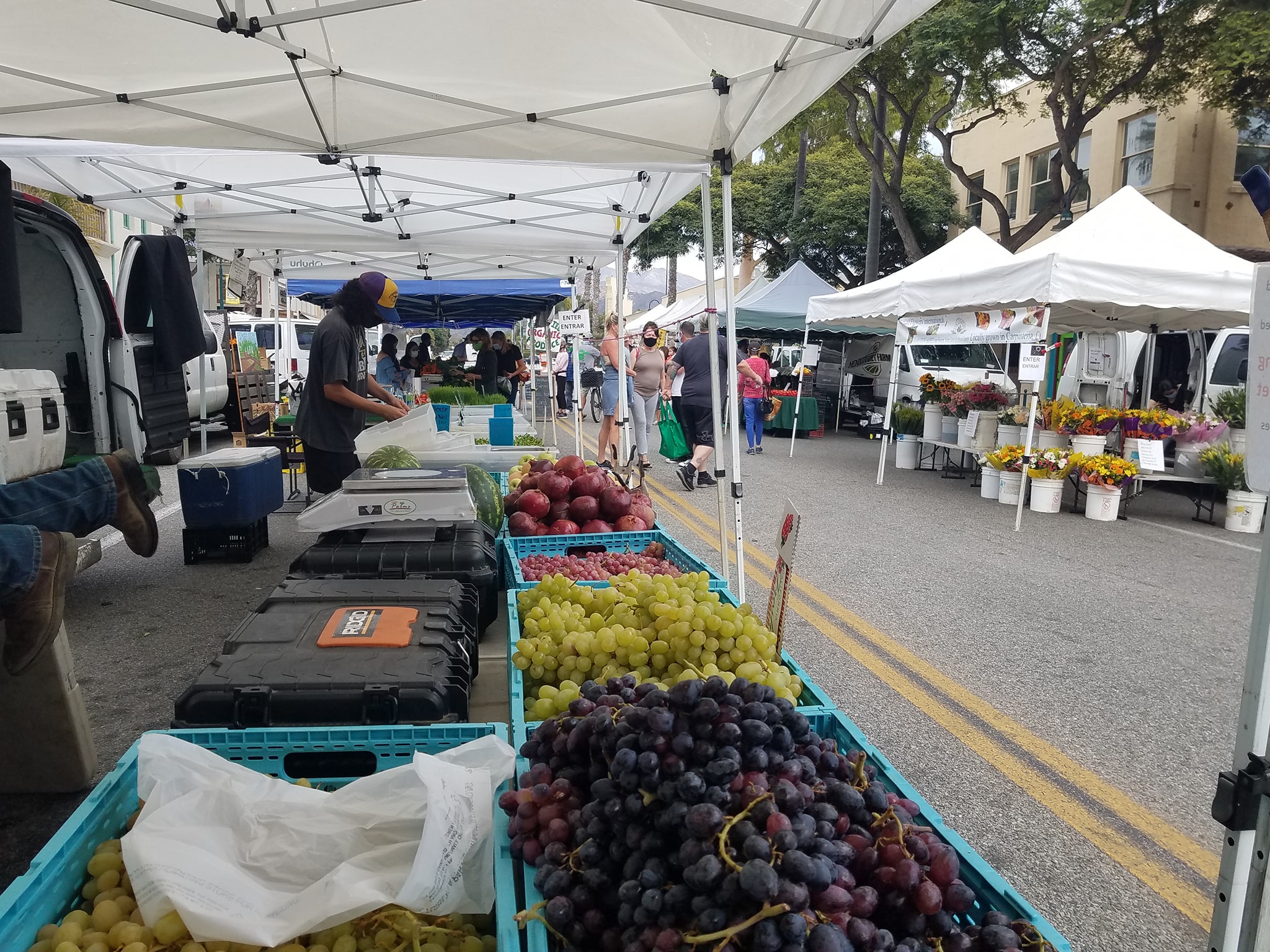 Santa Barbara Events In August 2023 Carpinteria Farmers Market – Santa Barbara County Food Action Network