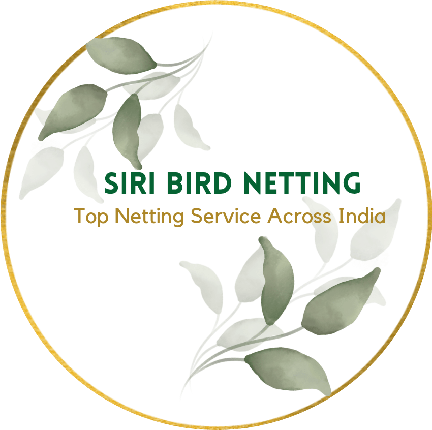 Siri Pigeon Net Price / Bird Net Near Me In Chennai Installation Cost