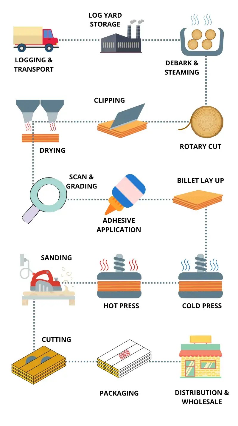 What is LVL Timber Scafeast