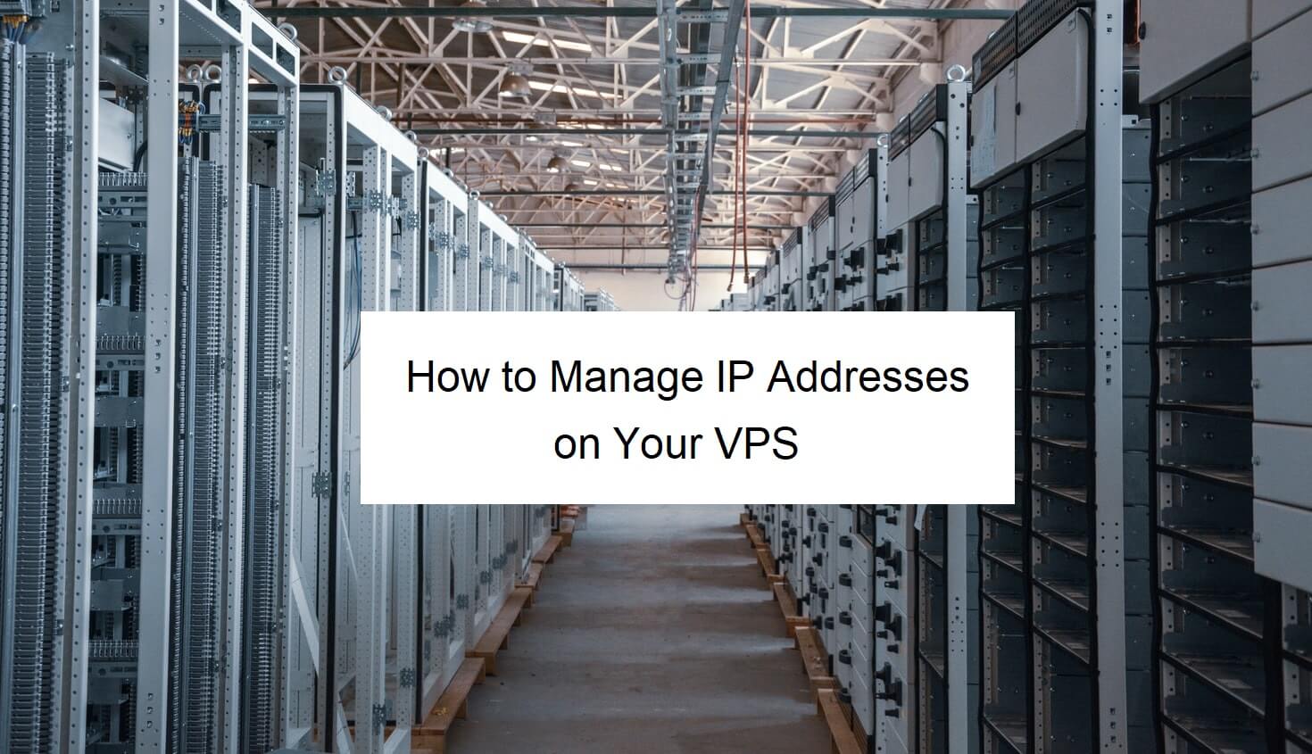 How to Manage IP Addresses on Your VPS ScalaHosting Blog